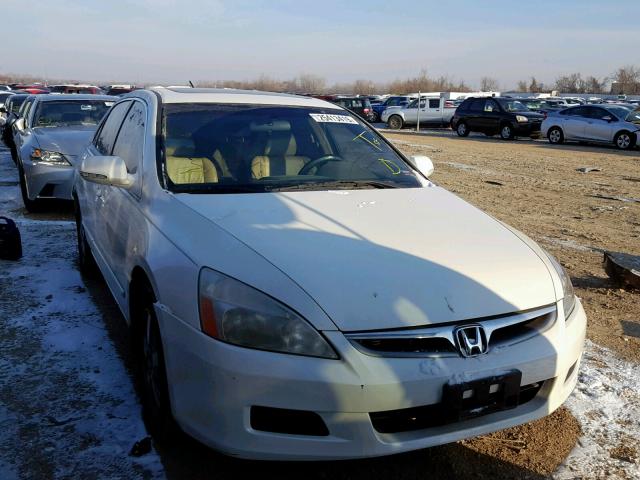 JHMCN36466C001279 - 2006 HONDA ACCORD HYB WHITE photo 1