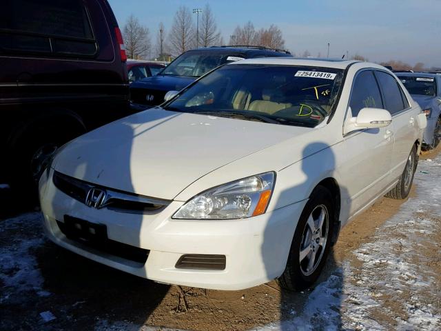 JHMCN36466C001279 - 2006 HONDA ACCORD HYB WHITE photo 2