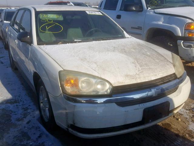 1G1ZT62814F218013 - 2004 CHEVROLET MALIBU MAX თეთრი ფოტო 1