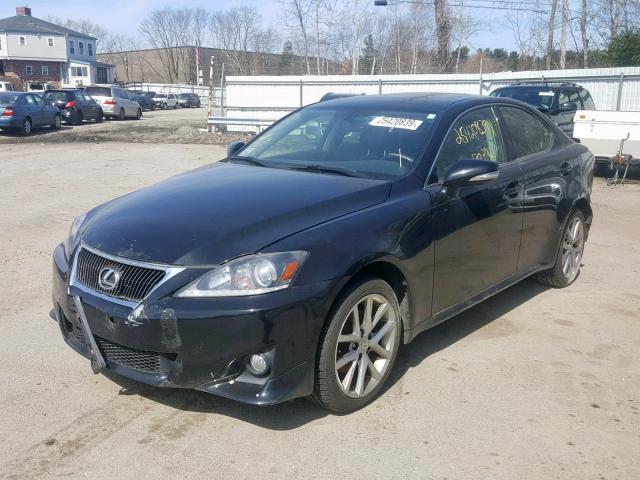 JTHCF5C23D5062604 - 2013 LEXUS IS 250 BLACK photo 2