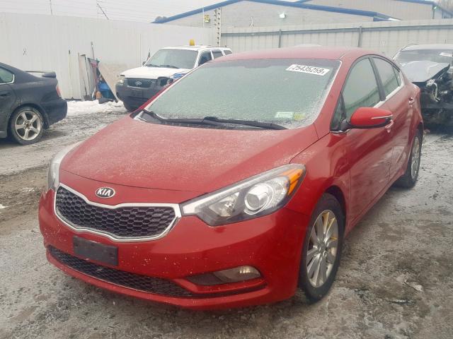 KNAFX4A85E5102404 - 2014 KIA FORTE EX RED photo 2