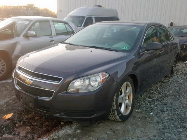 1G1ZB5EB9AF253348 - 2010 CHEVROLET MALIBU LS Grafit foto 2