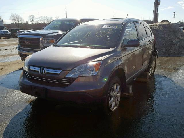 5J6RE48779L044441 - 2009 HONDA CR-V EXL BROWN photo 2