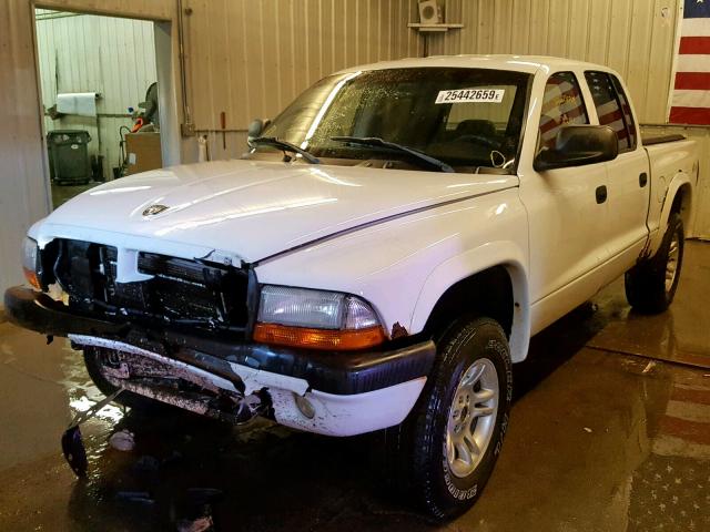 1D7HG38N83S256532 - 2003 DODGE DAKOTA QUA WHITE photo 2