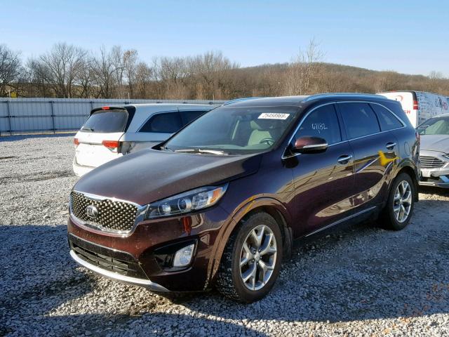 5XYPK4A59GG072703 - 2016 KIA SORENTO SX MAROON photo 2