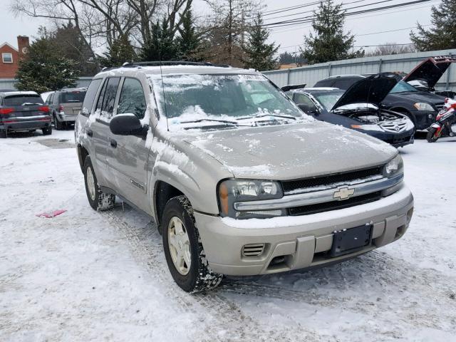 1GNDT13S322339586 - 2002 CHEVROLET TRAILBLAZE TAN photo 9