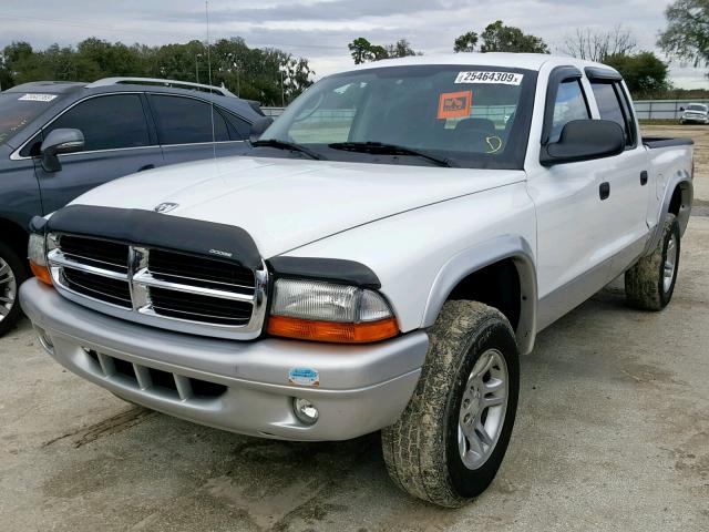 1D7HG48N33S143397 - 2003 DODGE DAKOTA QUA WHITE photo 2