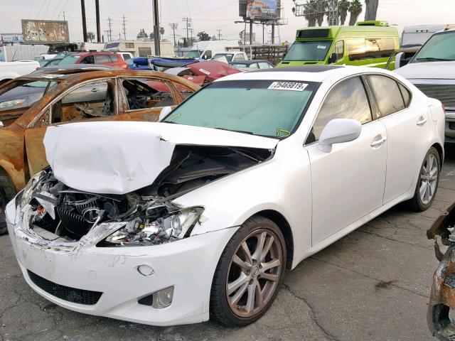 JTHBK262X72049954 - 2007 LEXUS IS 250 WHITE photo 2