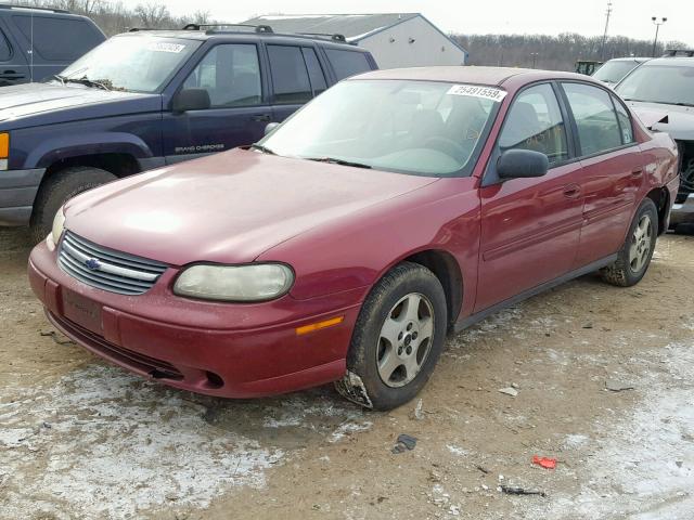 1G1ND52F85M229947 - 2005 CHEVROLET CLASSIC MAROON photo 2