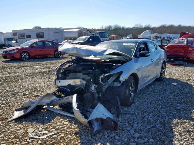 1N4AA6AP6HC430051 - 2017 NISSAN MAXIMA 3.5 SILVER photo 2