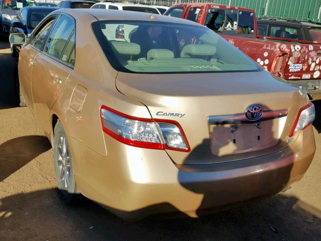 4T1BB3EK8AU121198 - 2010 TOYOTA CAMRY HYBR GOLD photo 3