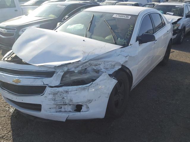 1G1ZG57B99F211921 - 2009 CHEVROLET MALIBU LS WHITE photo 2