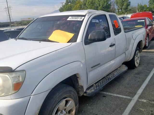 5TETU62N65Z048266 - 2005 TOYOTA TACOMA PRE WHITE photo 9