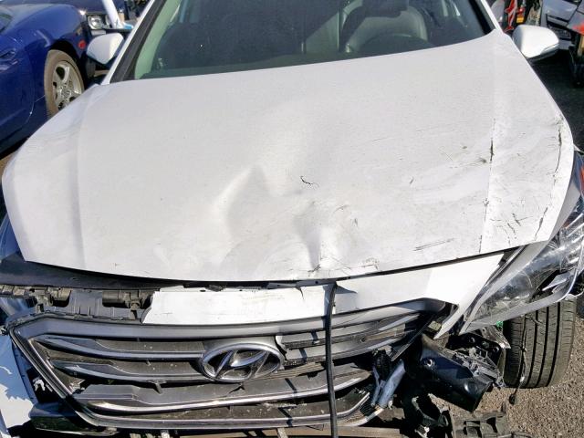 5NPE34AF7HH536854 - 2017 HYUNDAI SONATA SPO WHITE photo 7