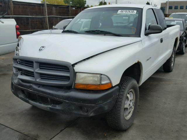 1B7GG22X4YS750050 - 2000 DODGE DAKOTA WHITE photo 2