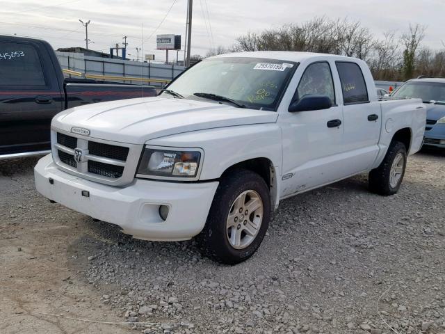 1D7RE3GK9BS510717 - 2011 DODGE DAKOTA SLT WHITE photo 2