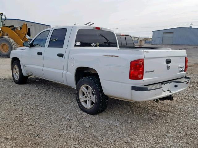 1D7RE3GK9BS510717 - 2011 DODGE DAKOTA SLT WHITE photo 3