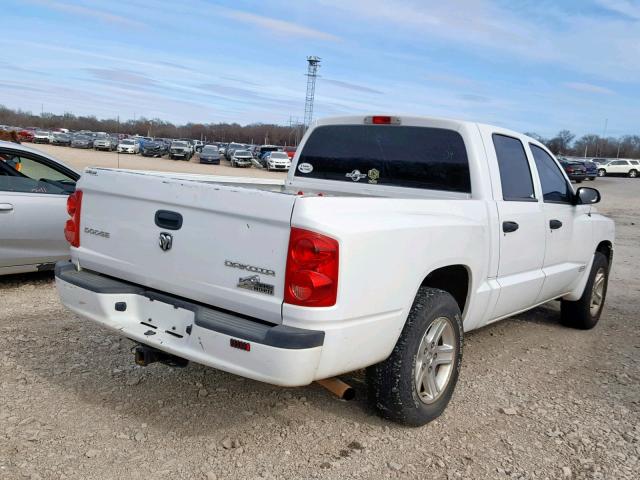 1D7RE3GK9BS510717 - 2011 DODGE DAKOTA SLT WHITE photo 4