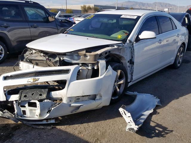 1G1ZC5E12BF239345 - 2011 CHEVROLET MALIBU 1LT თეთრი ფოტო 2