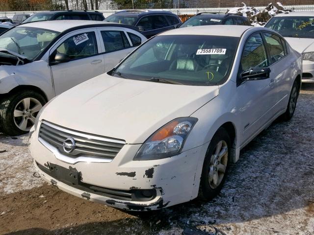 1N4CL21E98C256437 - 2008 NISSAN ALTIMA HYB WHITE photo 2