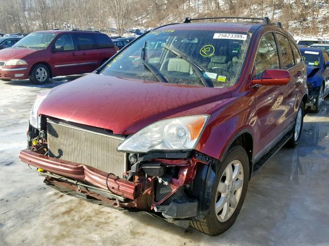 5J6RE48789L011464 - 2009 HONDA CR-V EXL MAROON photo 2