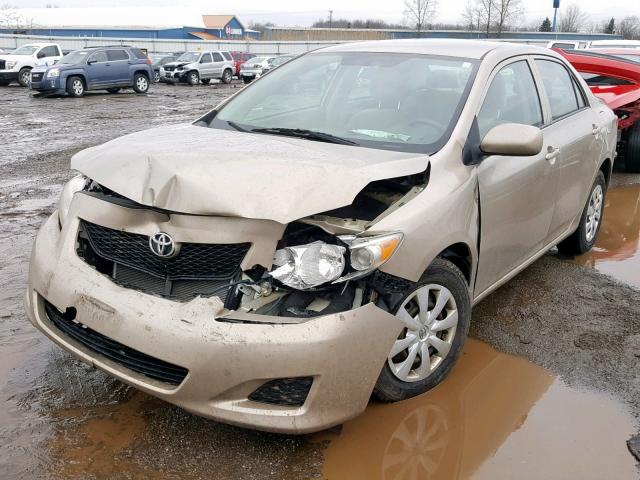 2T1BU40E49C159963 - 2009 TOYOTA COROLLA BA GOLD photo 2