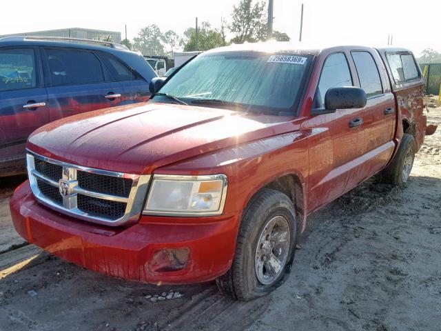 1D7HE48N18S571918 - 2008 DODGE DAKOTA QUA RED photo 2