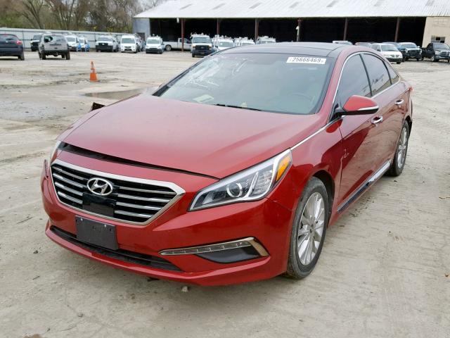 5NPE34AF1FH079181 - 2015 HYUNDAI SONATA SPO RED photo 2