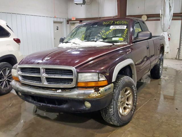 1B7GG22N31S279481 - 2001 DODGE DAKOTA RED photo 2