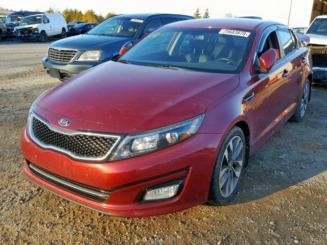 5XXGR4A73FG383687 - 2015 KIA OPTIMA SX RED photo 2