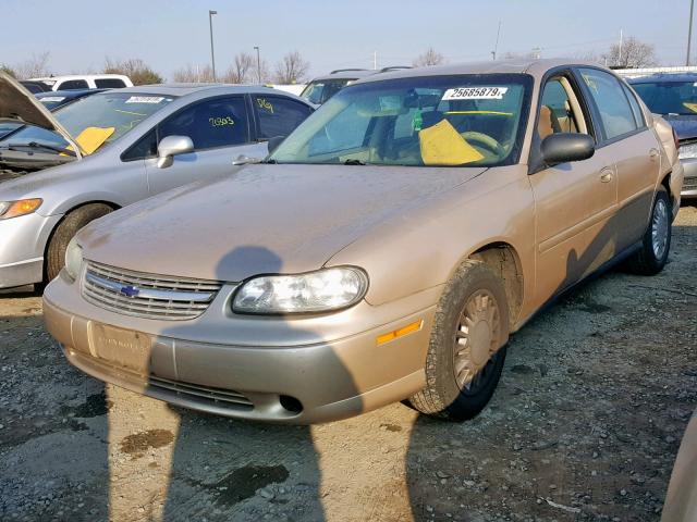 1G1ND52F64M675948 - 2004 CHEVROLET CLASSIC BEIGE photo 2