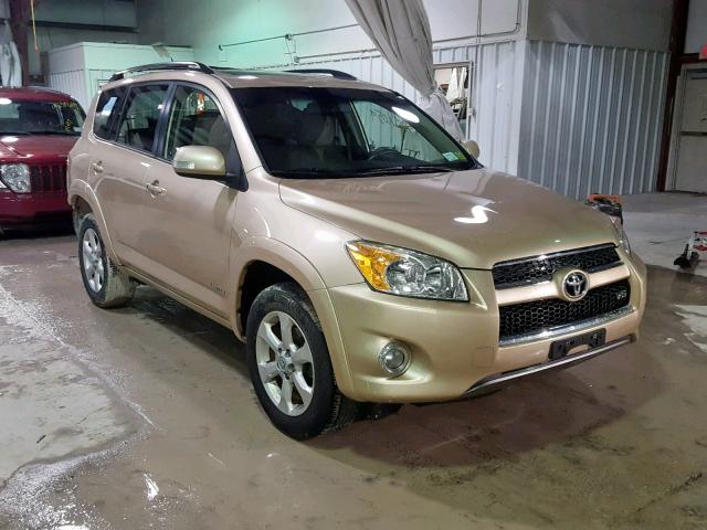 JTMBK31V29D006189 - 2009 TOYOTA RAV4 LIMIT GOLD photo 1