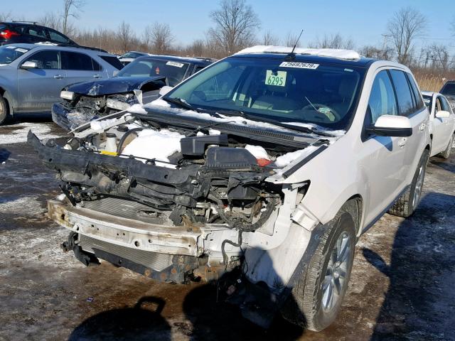 2FMDK3JCXEBA99756 - 2014 FORD EDGE SEL WHITE photo 2