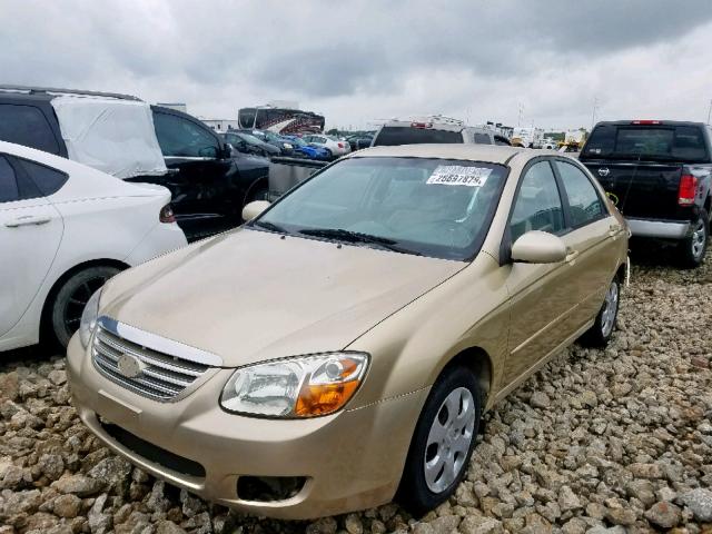 KNAFE221295652919 - 2009 KIA SPECTRA EX GOLD photo 2