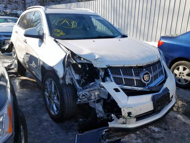 3GYFNEEY6AS577238 - 2010 CADILLAC SRX PERFOR WHITE photo 1