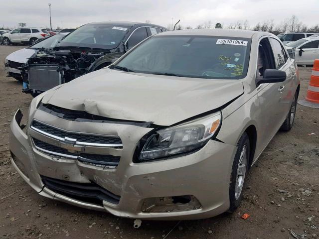 1G11A5SA0DF203731 - 2013 CHEVROLET MALIBU LS TAN photo 2
