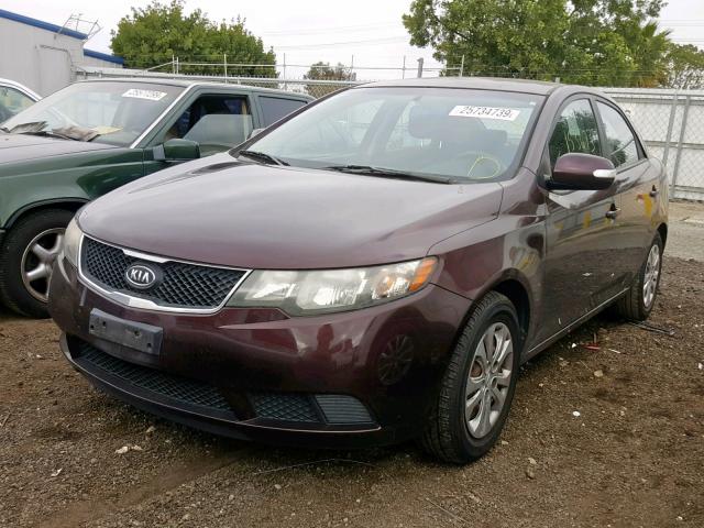 KNAFU4A2XA5063548 - 2010 KIA FORTE EX BURGUNDY photo 2