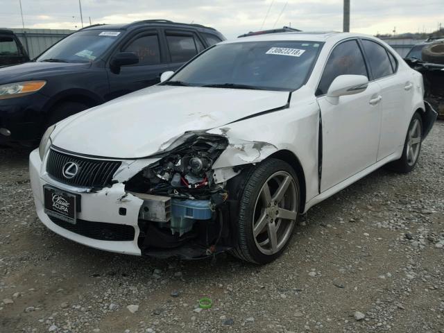 JTHBF5C21A2095125 - 2010 LEXUS IS 250 WHITE photo 2