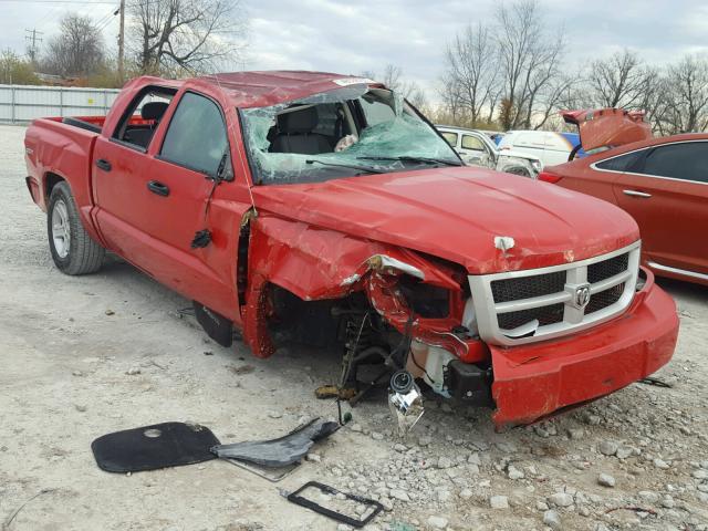 1D7RW3GK7BS682984 - 2011 DODGE DAKOTA SLT RED photo 1