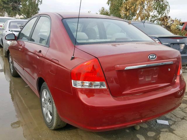 KNAFE122785556446 - 2008 KIA SPECTRA EX BURGUNDY photo 3