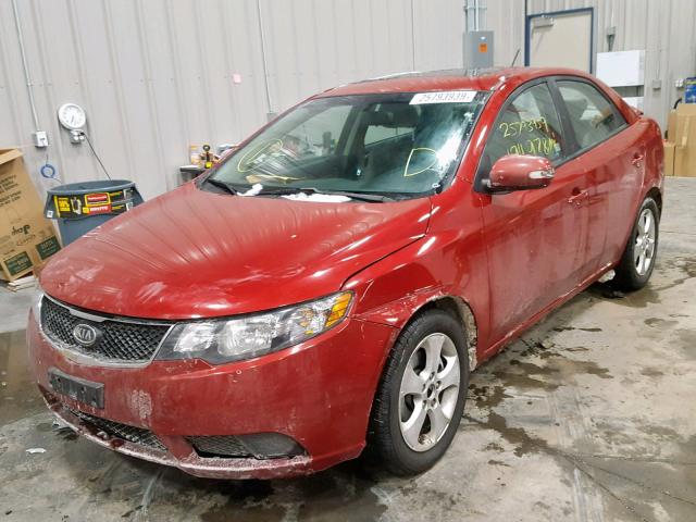 KNAFU4A2XA5310258 - 2010 KIA FORTE EX RED photo 2