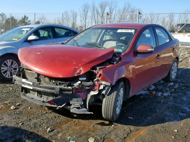 KNAFU4A25A5098997 - 2010 KIA FORTE EX RED photo 2