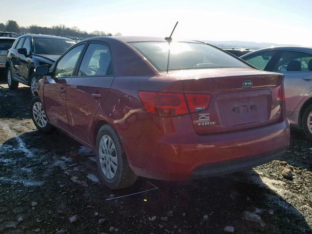 KNAFU4A25A5098997 - 2010 KIA FORTE EX RED photo 3