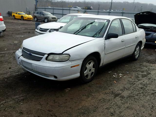 1G1ND52F24M633454 - 2004 CHEVROLET CLASSIC WHITE photo 2