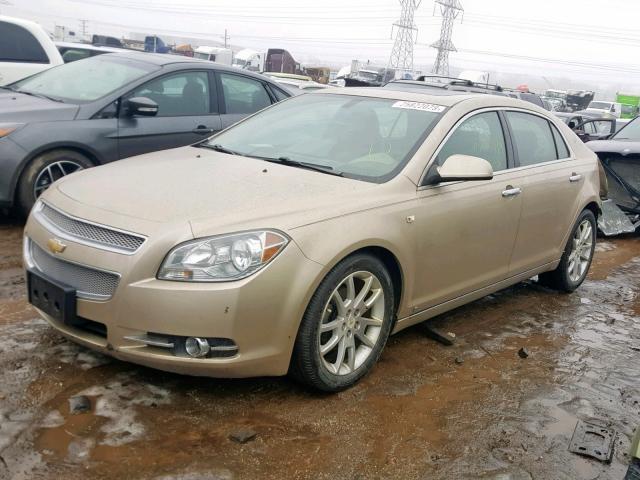 1G1ZK57738F283030 - 2008 CHEVROLET MALIBU LTZ GOLD photo 2