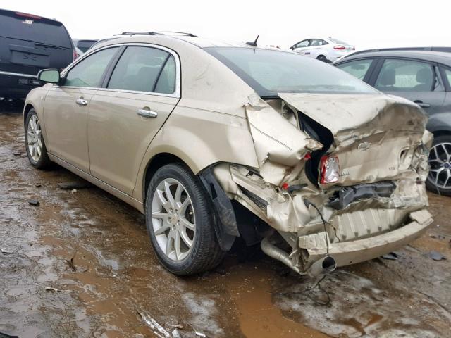 1G1ZK57738F283030 - 2008 CHEVROLET MALIBU LTZ GOLD photo 3