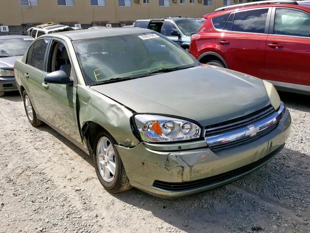 1G1ZT528X5F147163 - 2005 CHEVROLET MALIBU LS GREEN photo 1