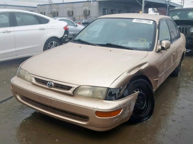 1NXBB02E6TZ474510 - 1996 TOYOTA COROLLA DX GOLD photo 2