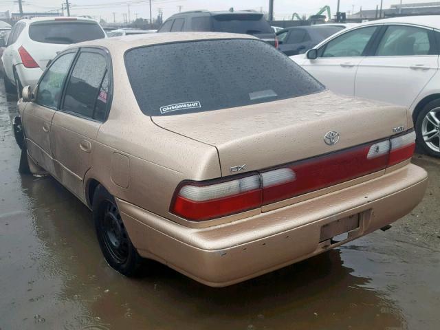 1NXBB02E6TZ474510 - 1996 TOYOTA COROLLA DX GOLD photo 3