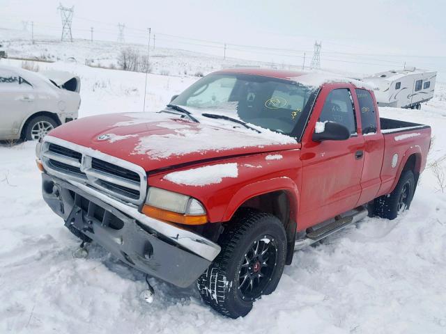 1D7HG42N94S693567 - 2004 DODGE DAKOTA SLT RED photo 2